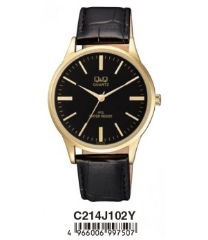 Ceas Barbati, Q&Q by Citizen, Standard C214J102Y