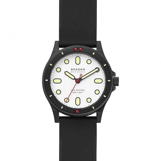 Ceas Barbati, SKAGEN FISK SKW6667 Ceas Barbati, SKAGEN FISK SKW6667