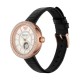 Ceas Dama, Emporio Armani, Mother of Pearl AR60066 Ceas Dama, Emporio Armani, Mother of Pearl AR60066