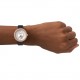 Ceas Dama, Emporio Armani, Mother of Pearl AR60066 Ceas Dama, Emporio Armani, Mother of Pearl AR60066