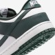 Pantofi Sport Barbati, Nike, Nike Dunk DV0833-111 Pantofi Sport Barbati, Nike, Nike Dunk DV0833-111
