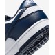 Pantofi Sport Barbati, Nike, Dunk HF5441-107