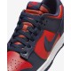 Pantofi Sport Barbati, Nike, Nike Dunk DV0833-601