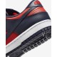 Pantofi Sport Barbati, Nike, Nike Dunk DV0833-601