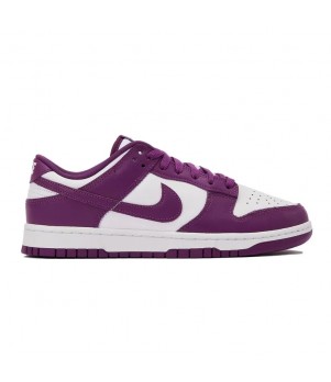 Pantofi Sport Barbati, Nike, Nike Dunk DV0833-107