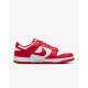 Pantofi Sport Dama, Nike, Dunk DD1873-116