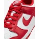 Pantofi Sport Dama, Nike, Dunk DD1873-116