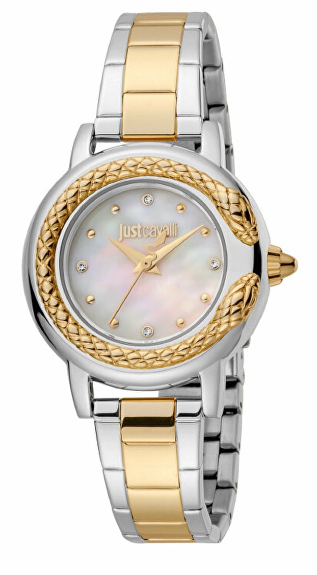 Ceas Dama,  JUST CAVALLI TIME WATCHES JC1L151M0085