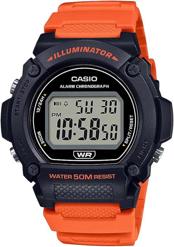 Ceas Barbati, Casio, Collection W-21 W-219H-4AVCF