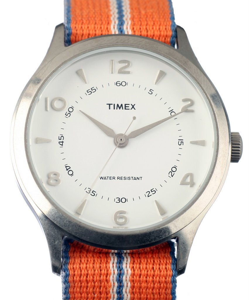 Ceas TIMEX ARCHIVE Model WHITNEY VILLAGE TW2T97000LG