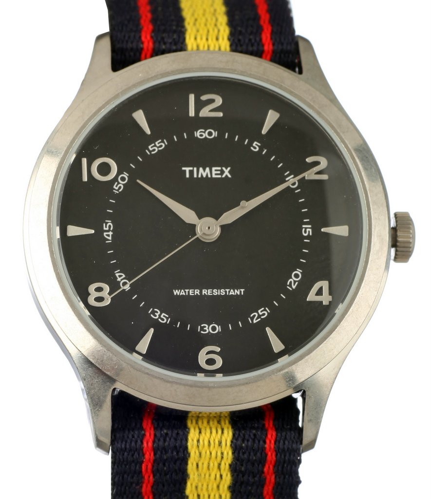 Ceas TIMEX ARCHIVE Model WHITNEY VILLAGE TW2T97300LG