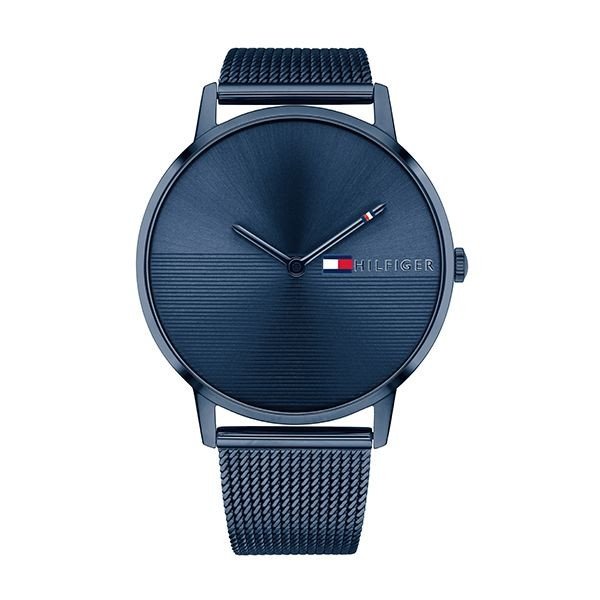 Ceas TOMMY HILFIGER WATCHES 1781971 1781971
