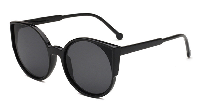 Ochelari de soare Wayfarer Passenger CE Negru